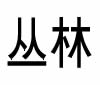丛林
