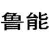 鲁能