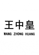 中国驰名商标-王中皇wang zhong huang 注 册 号