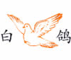 白鸽 WHITEDOVE