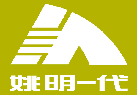 收入证明_无线互联网收入(3)
