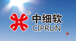 中细软公司